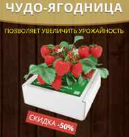 Как заказать домашняя ягодница кладовая природы купить в спб
