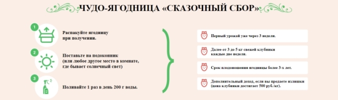 Как заказать купить чудо ягодницу в украине